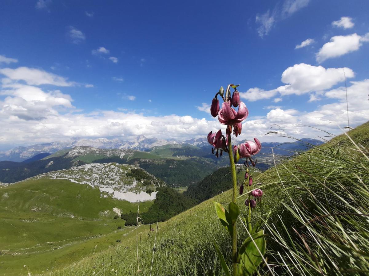 Bed and Breakfast Le Sareymond Menee Экстерьер фото